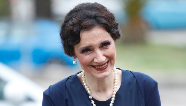 FOTO Doris Dragović slavi 65. rođendan: Pogledajte kako se diva mijenjala kroz godine