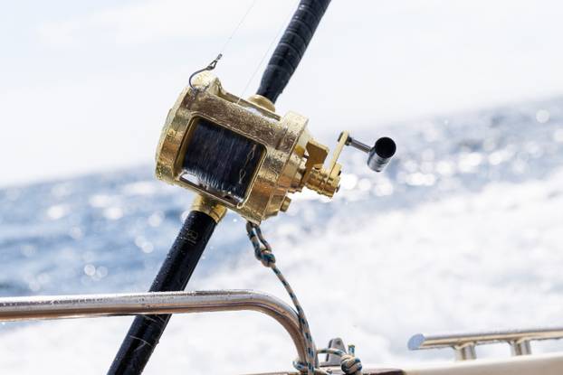 Tunalicious spektakl u Istri i međunarodno natjecanje u lovljenju kraljice Jadrana - tune