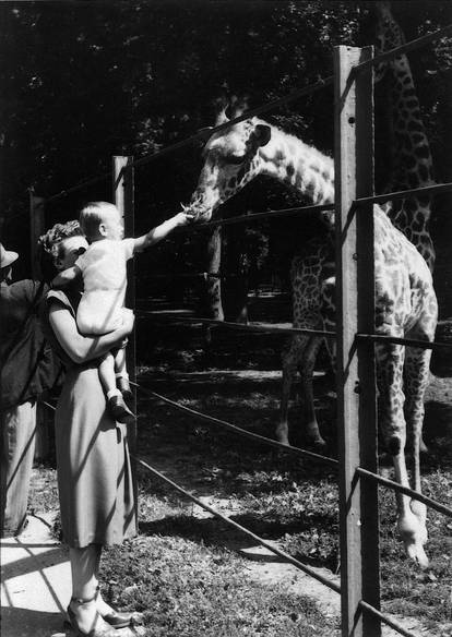 FOTO Ovo su prve životinje koje su živjele u zagrebačkom ZOO-u