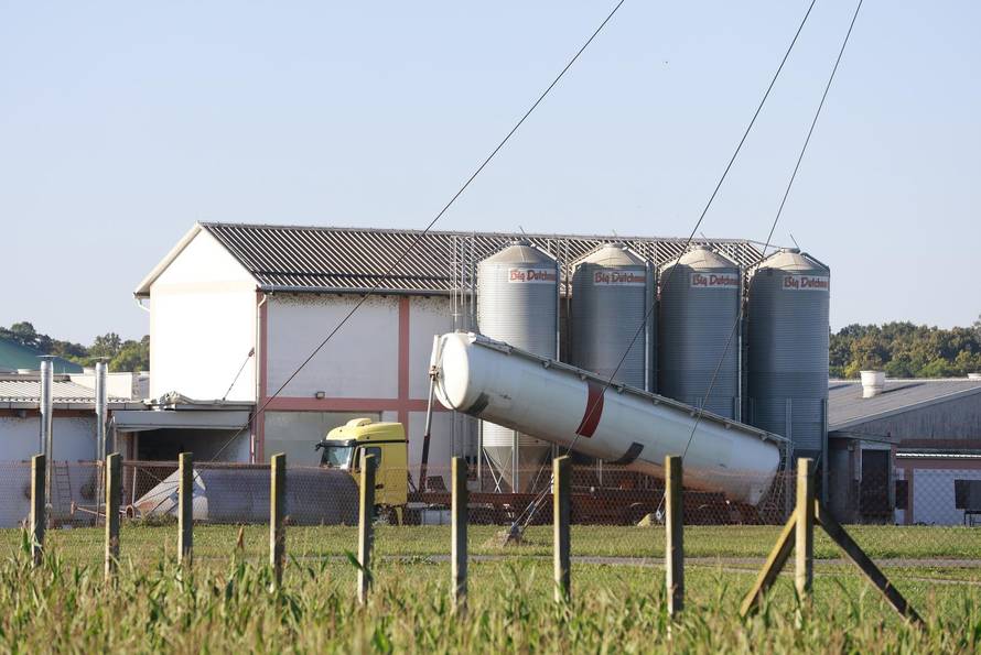 Sokolovac: Kreće eutanazija svinja, uvode se novi sigurnosni protokoli