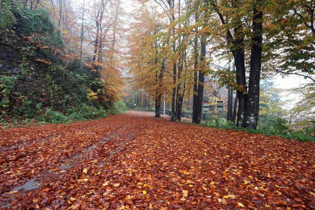 Delnice: Boje jeseni u Gorskom kotaru