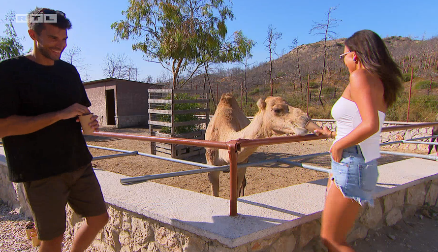 Barbara bila kod Miloša, a Šime i Vanja pričali o budućnosti: 'Pa, s njom nisam šjor Savršeni...'