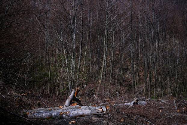 Zagreb: Posljedice olujnog nevremena na Sljemenu