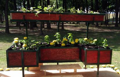 Urbani sklopivi mini vrt za osobe s invaliditetom