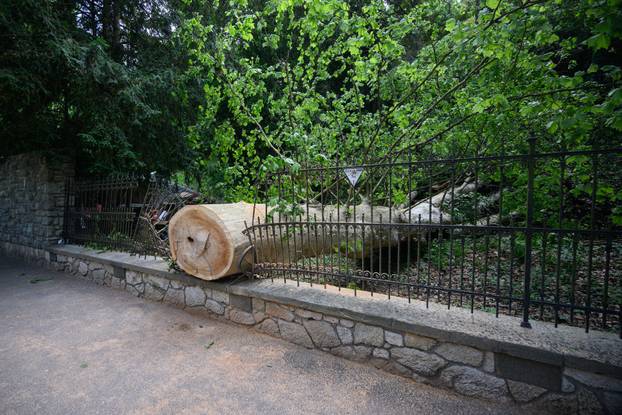 Zagreb: Veliko stablo srušilo se u Tuškancu i oštetilo ogradu kod javne garaže