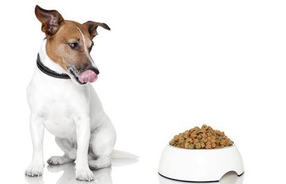 Otkrivamo kako suhu hranu za pse održati svježom i zdravom