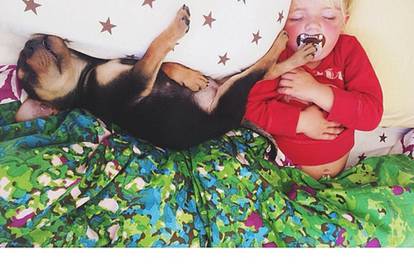 Nerazdvojni su: Dječak i pas uvijek spavaju zajedno