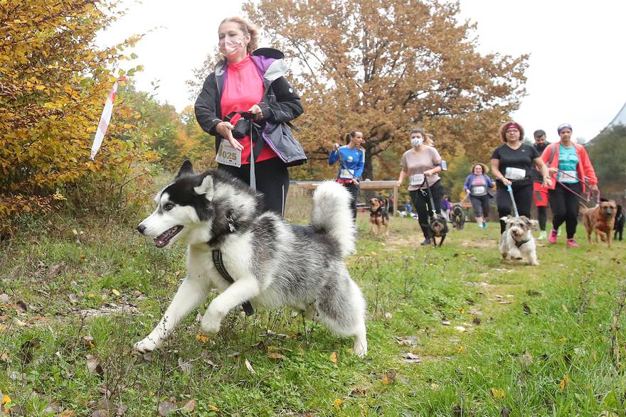 trčanje sa psima ključić brdo