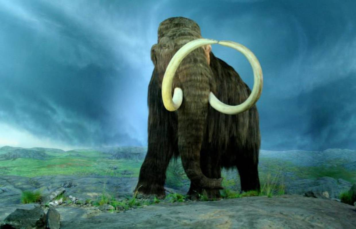 Mini mamuti 'zapeli' na Kreti, rasli su samo do metar visine