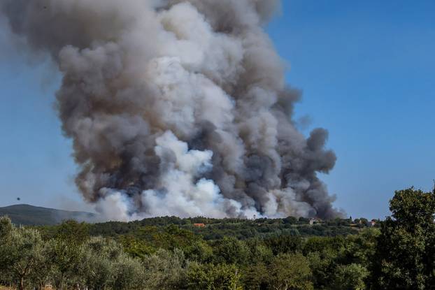 Barban: Veliki požar izbio u Punteri