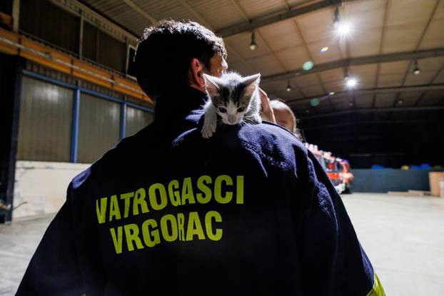 Vrgorac: Vatrogasci spasili 4 mačiča iz šahta gdje su ih pronašli ostavljene