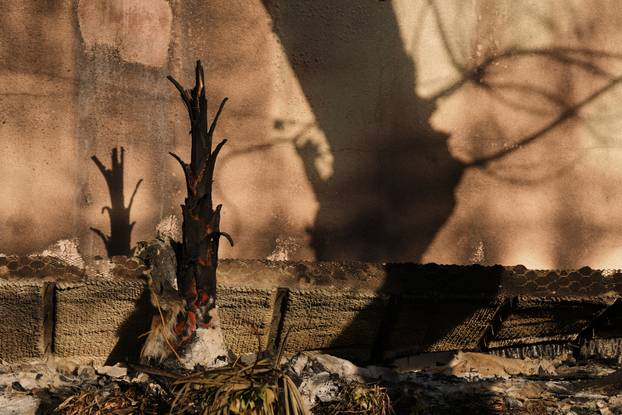 California Wildfires