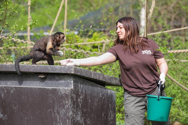 Zagreb: Tradicionalna podjela pisanica životinjama u Zoološkom vrtu Grada Zagreba
