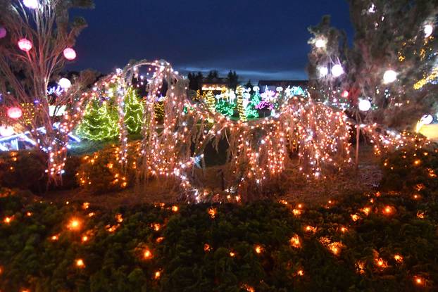 Magično Božićno blagdansko imanje obitelji Salaj zabljesnulo je u punom sajaju