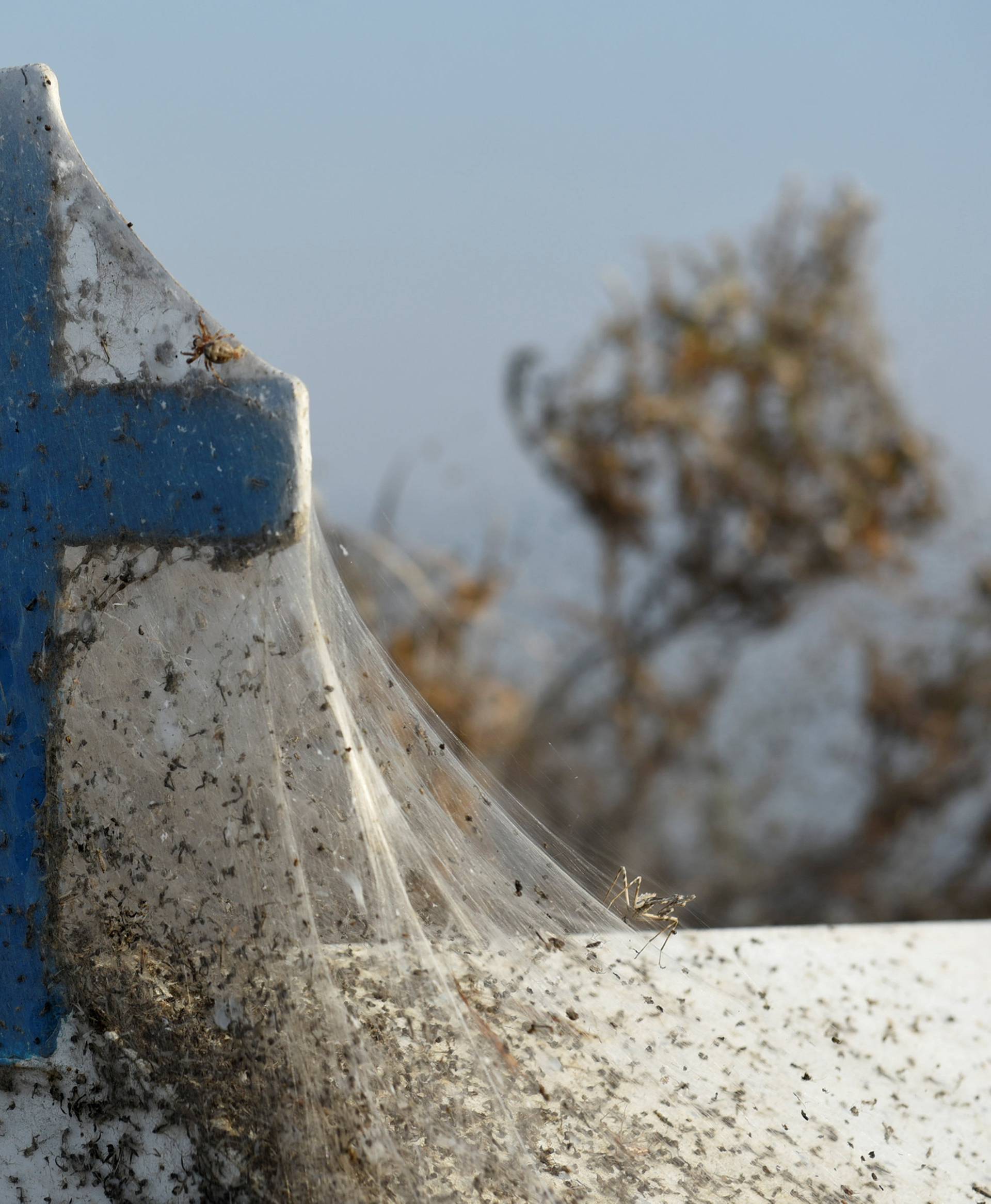 Spider webs cover a roadside shrine at the banks of Lake Vistonida