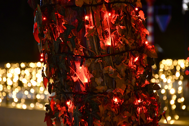 FOTO 'Ninina čarobna shhhuma' u Velikoj dočarala je adventski sajam kao iz bajke