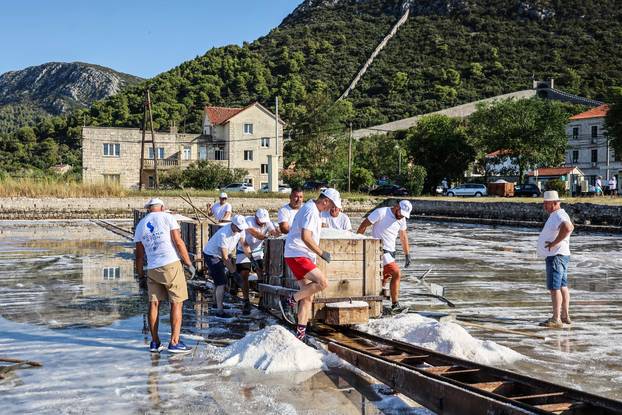 Berba soli u Stonskoj solani