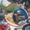 Motorist i pas postali atrakcija u Splitu: 'Svaki dan se njih dvoje voze, mališan  ima svoju kacigu'