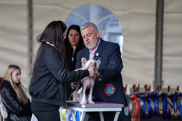 Izložba pasa svih pasmina ispred shopping centra Westgate City u Zaprešiću