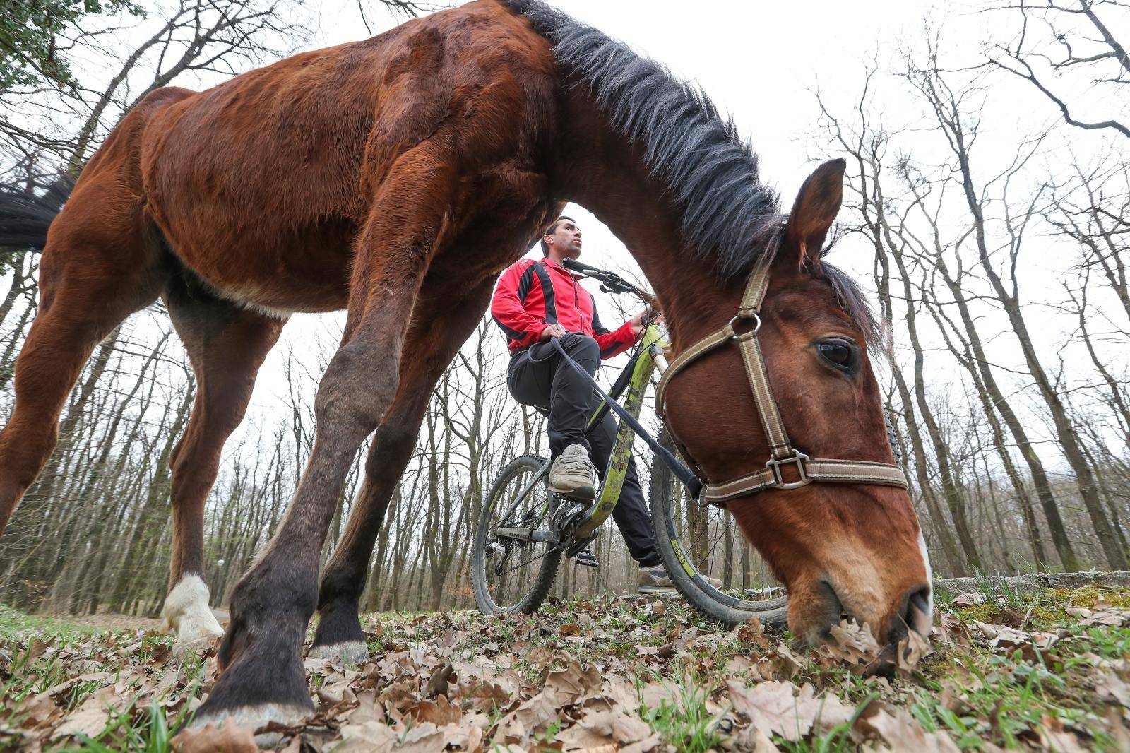 'Moj konj Kasper i ja jurimo šumama čak do 60 km na sat'