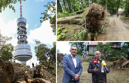 'Snažno nevrijeme u Hrvatskoj nanijelo je veliku štetu na šumama, ukupno 140 mil. eura'