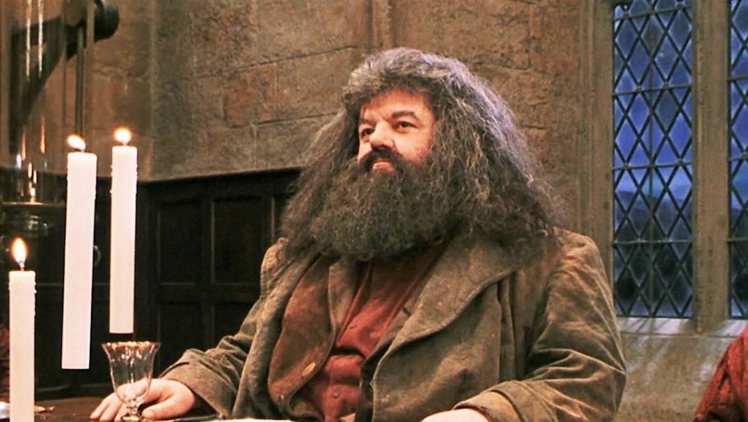 KVIZ Prvi film o Harry Potteru izašao je prije 22 godine. Koliko znate o omiljenom čarobnjaku?