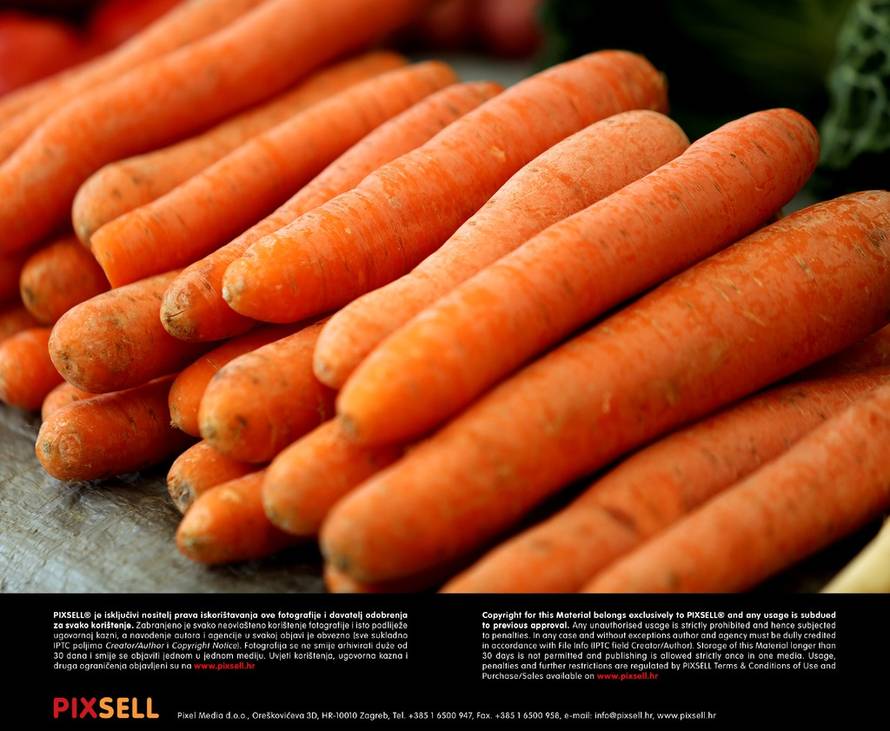 Marko Mrkonjić/Pixsell