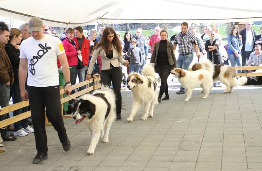 Kristina Štedul-Fabac/PIXSELL