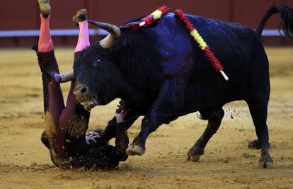 Španjolska ukinula godišnju nagradu za borbe s bikovima