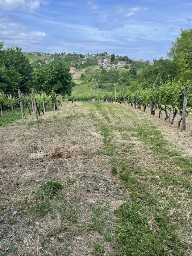 Kod Varaždina prodaju kuću od 9 m2! Nema dozvolu, struju ni vodu. Makadam je. Evo cijene