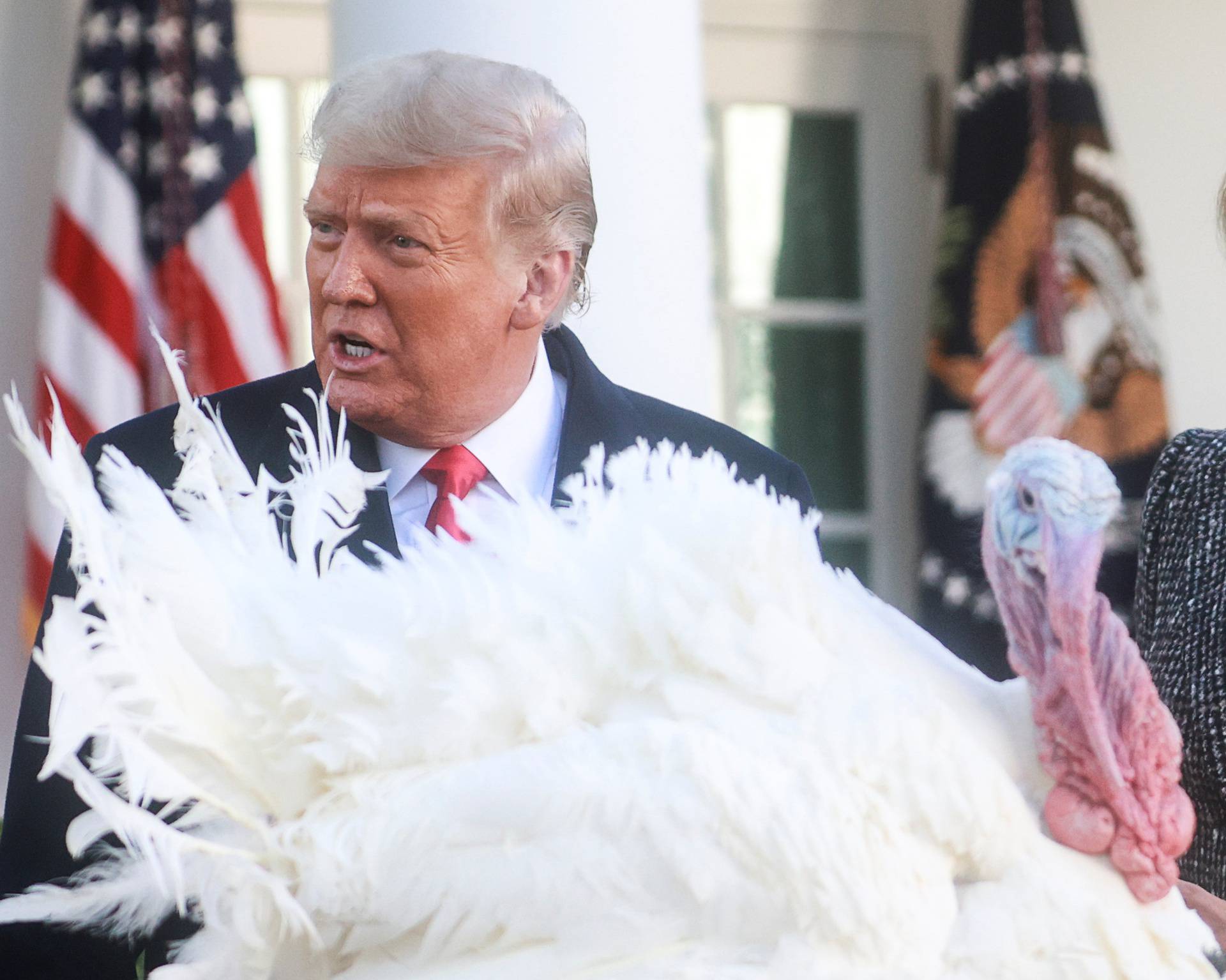 U.S. President Trump hosts presentation of 73rd National Thanksgiving Turkey at the White House