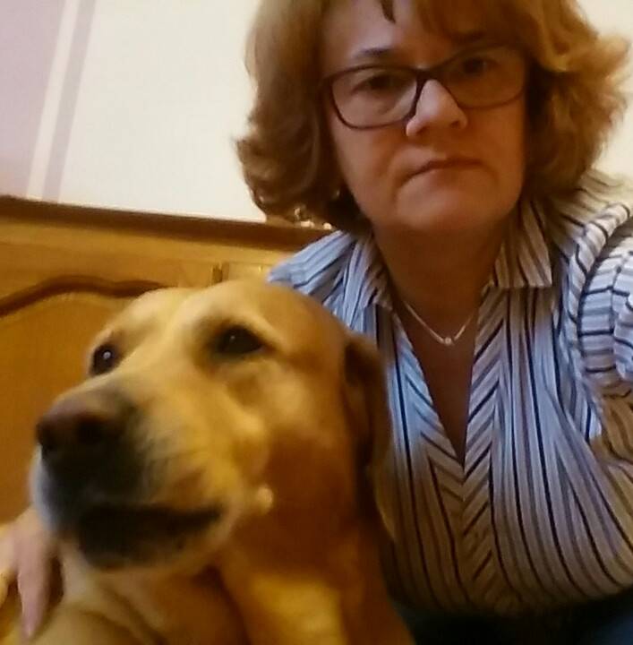 'Supertalent': Šestogodišnji labrador Bongo naučio je čitati