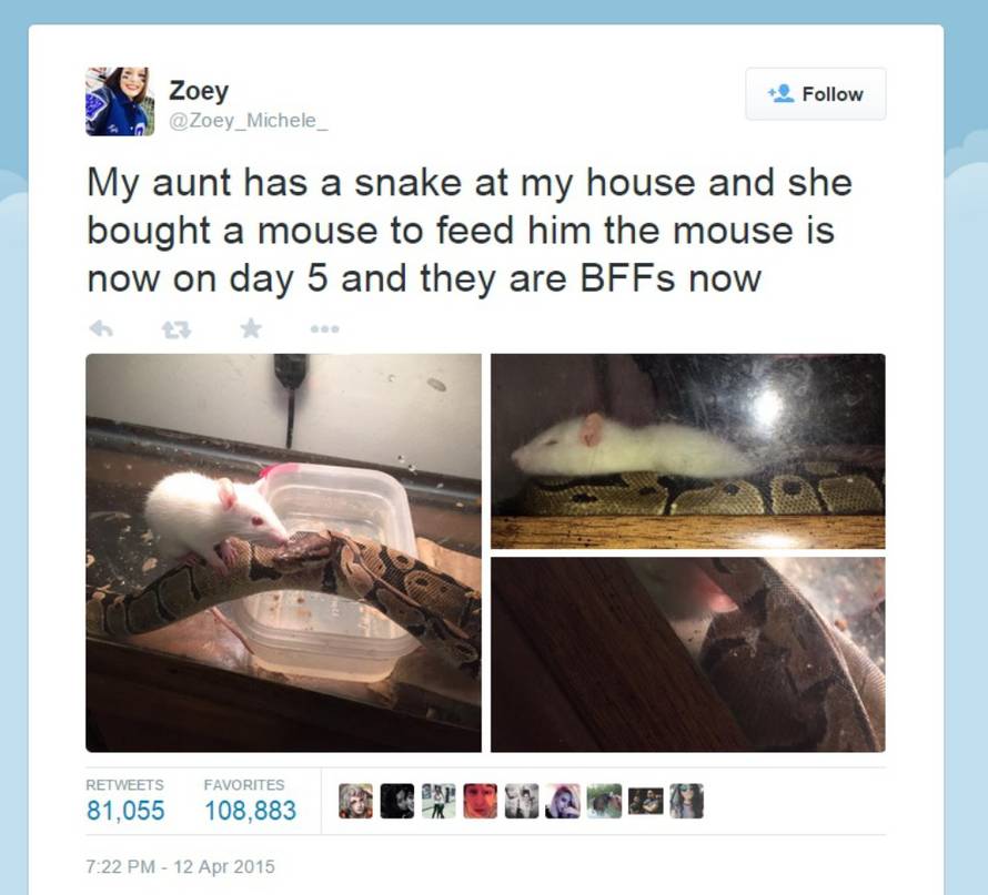 Twitter/Zoey_Michele