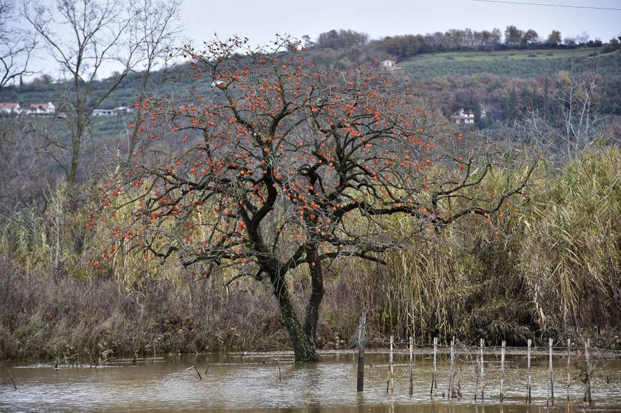 'Dvorište mi se pretvorilo u jezero, nisam mogao na cestu'