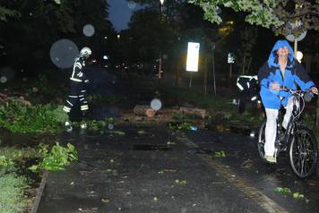Vjetar u Osijeku srušio grane na cestu, intervenirali vatrogasci