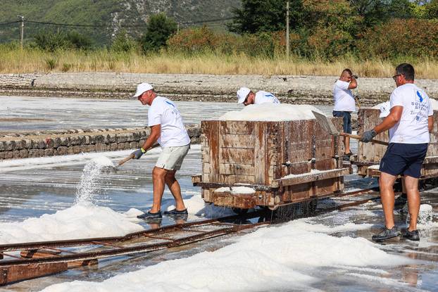 Berba soli u Stonskoj solani