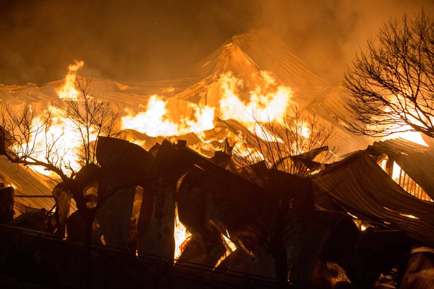 Veliki požar u Rijeci: 'Bilo je strašno, vatra se samo širila'