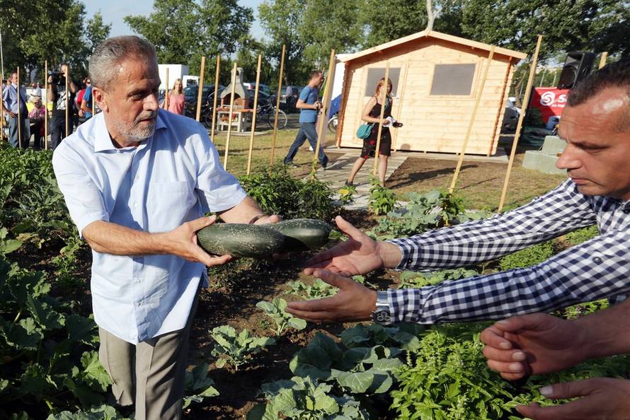 Borna Filić/PIXSELL