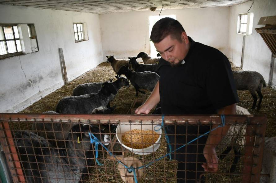 Svećenik i pastir: Volim ovce jer su i one Božja stvorenja