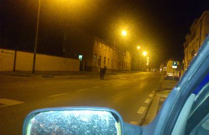 Magarica se u sitne sate prošetala ulicama Bjelovara
