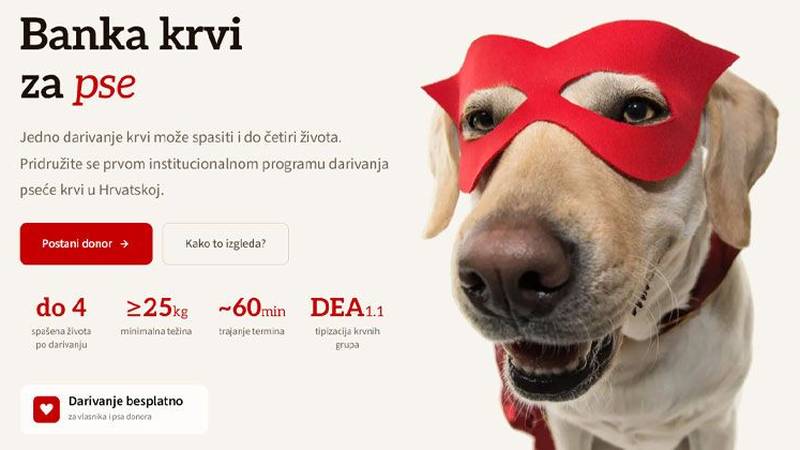 Veterinarski fakultet u Zagrebu pokrenuo program darivanja krvi pasa - evo kako se prijaviti