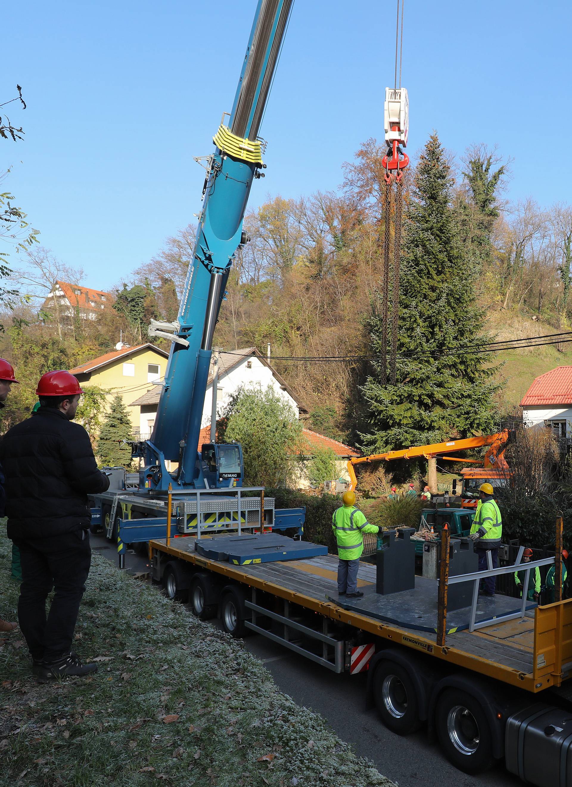 Zagreb: Donirao 20-metarski bor iz svog dvoriÅ¡ta koji Äe ukraÅ¡avati JelaÄiÄev trg tijekom blagdana