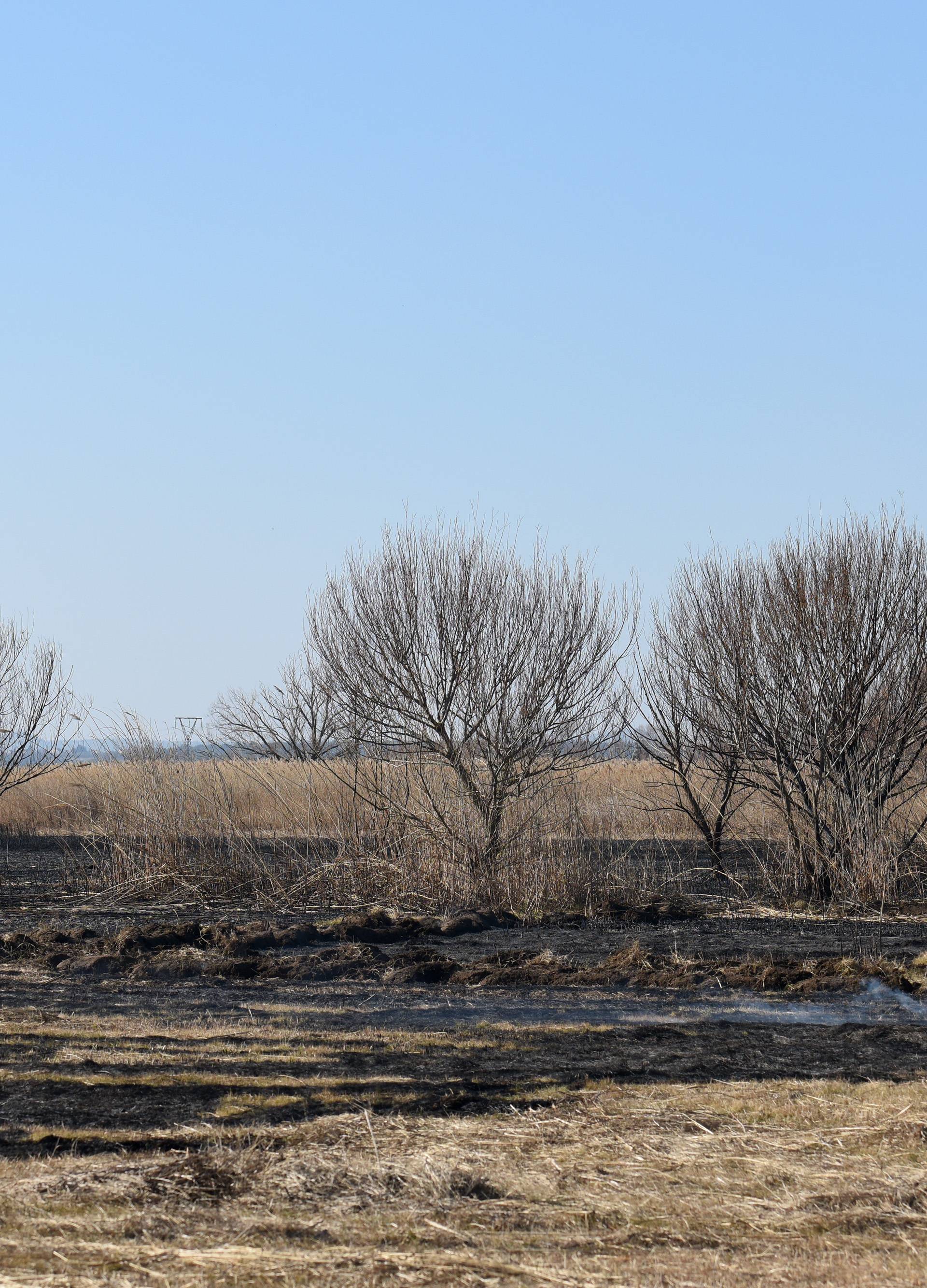 Požar na Vranskom jezeru: Izgorjelo samo 'srce' rezervata