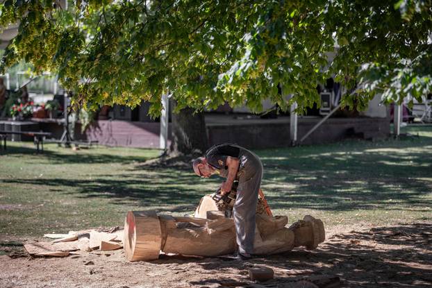 Osijek: 51 Kolonija kipara naive Ernestinovo stvaraju kiparska djela od trupca starog slavonskog hrasta