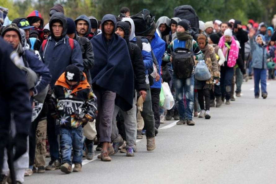 Marko Mrkonjic/PIXSELL