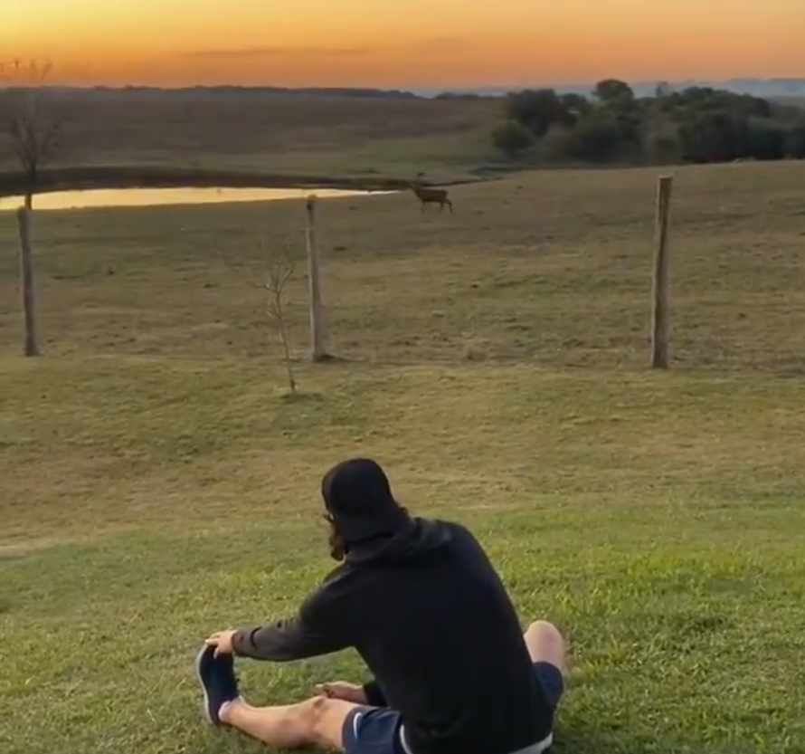 Bogataš Cavani rinta na farmi: Striže ovce, muze krave, kosi...