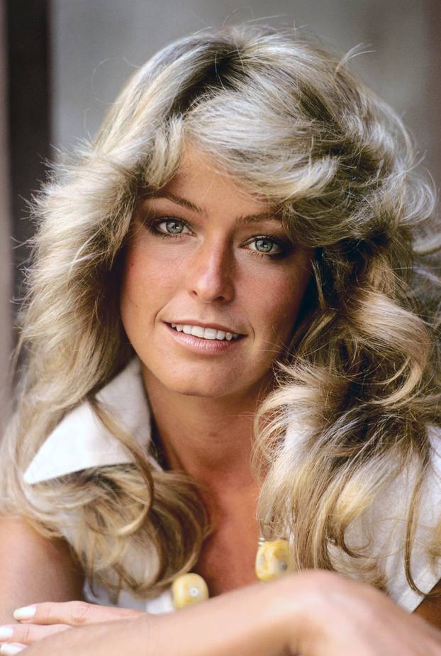 Television Entertainment