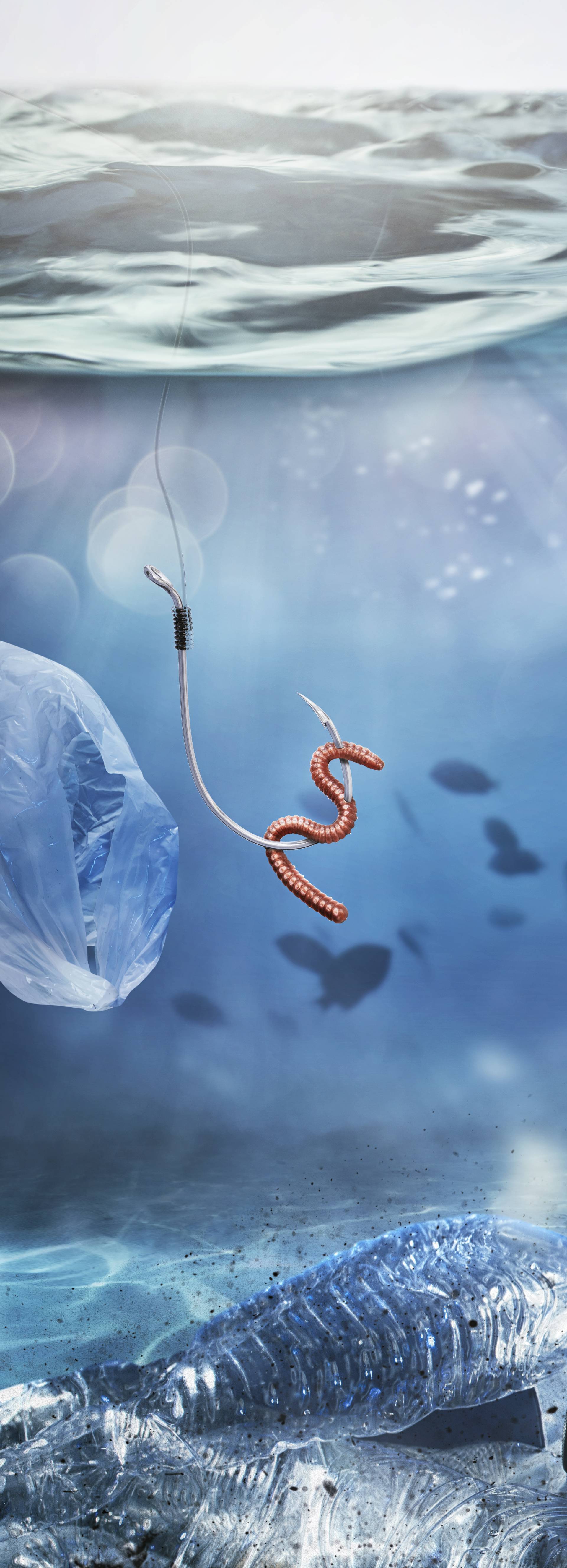 Pronašli mikroplastiku u ribi, lignjama, oštrigama i rakovima