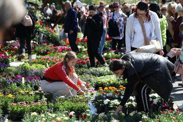 Osijek: Festival cvijeća i drveća 2026.