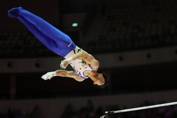 2025 World Artistic Gymnastics Championships
